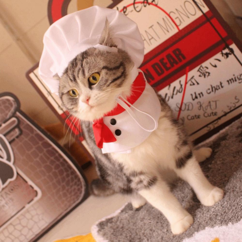 Haustierzubehör Süße Haustier Kochkönig Hut Bequem Stilvoll Katzen Verwandlungskleid Verstellbarer Katzen Cosplay Hut Haustier Veranstaltungen
