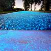 Sac de 10000 pièces Jardinage Aquarium Paysage Fluorescent Petite Pierre Vase Sablier Sable Lumineux Particules Fluorescentes
