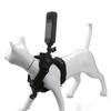 Comfortable Pet Camera Vest Supporting Two Action Cameras For Feline First Person View Photoshoots Easy Adjustment