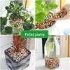 Breathable Colored Ceramic Particles for Flower Bedding, Hydroponics, Topdressing, and Succulent Growth