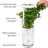 1PC Vegetables Fresh Preservation Bottle For Refrigerator Herb Saver Storage Container Fresh Herb Keeper Vanilla Kitchen Tool