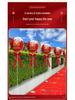 Outdoor Wedding Aisle Balloons - Double Happiness Yard Decorations