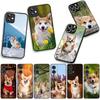 Handyhülle Haustier Süßer Hund Corgi für Samsung Galaxy A36 A17 A26 A07 A35 A54 A53 A13 A33 A34 S8 S9 S20 S21 FE S10 Plus Hülle