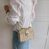 Summer Box Small Purse and Handbags For Women Rattan Straw Woven Crossbody Shoulder Bags Female Fashion Chain Travel Beach bags