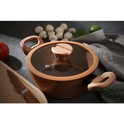 PEARL METAL VISIONS Stew/Curry Pot, 24cm, IH Compatible, with Glass Lid, Gold Coating, CP-8810