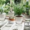 1/2 Stück Blumentopf Wasser Automatisch Selbstbewässernd Hydroponischer Einfüllstutzen mit Entwässerungslöchern Blumentopf Transparente Basis Pflanztopf