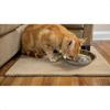 Stainl Steel Cat Bowls 12 PCS 5.5 Inch Metal Cat Bowls Replacement Elevated Food Water Dishes for Indoor Kitten Whisker Fatigue