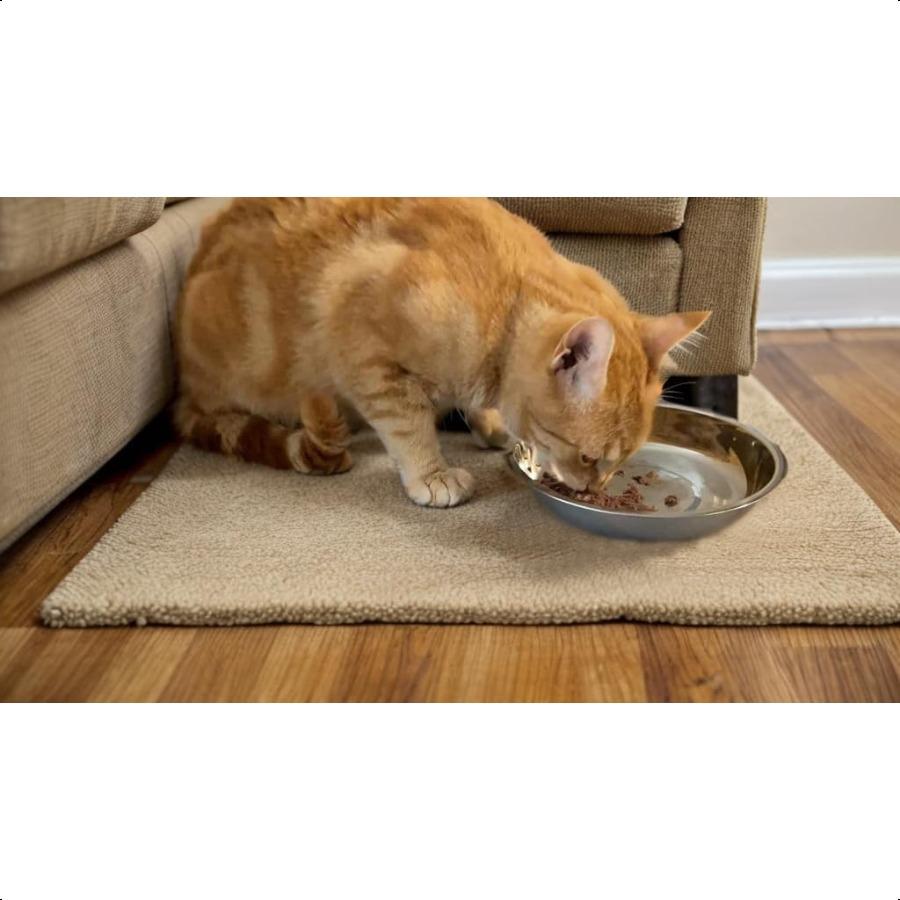 Stainl Steel Cat Bowls 12 PCS 5.5 Inch Metal Cat Bowls Replacement Elevated Food Water Dishes for Indoor Kitten Whisker Fatigue