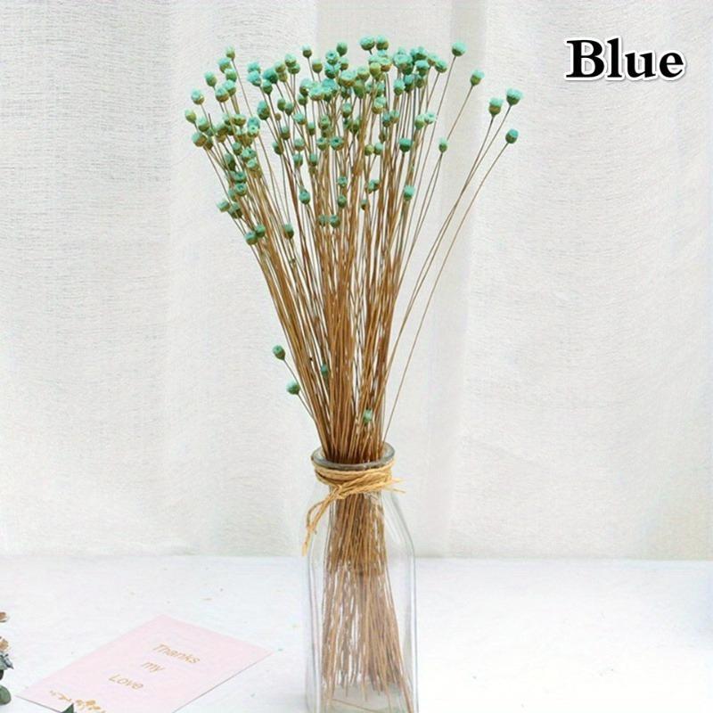 50 Stück/Strauß Brasilien Happy Flower Echte Blume Natur Echter Kleiner Trockenblumenstrauß