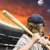 Professionelle Hartholz Baseballschläger Massivholz Baseballschläger Selbstverteidigungsausrüstung