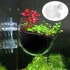 Clear Aquatic Plant Cup With Suction Holder Glass Plant Cup Pot Vase Red Worm Feeder for Fish Tank Aquarium Aquascape Decoration