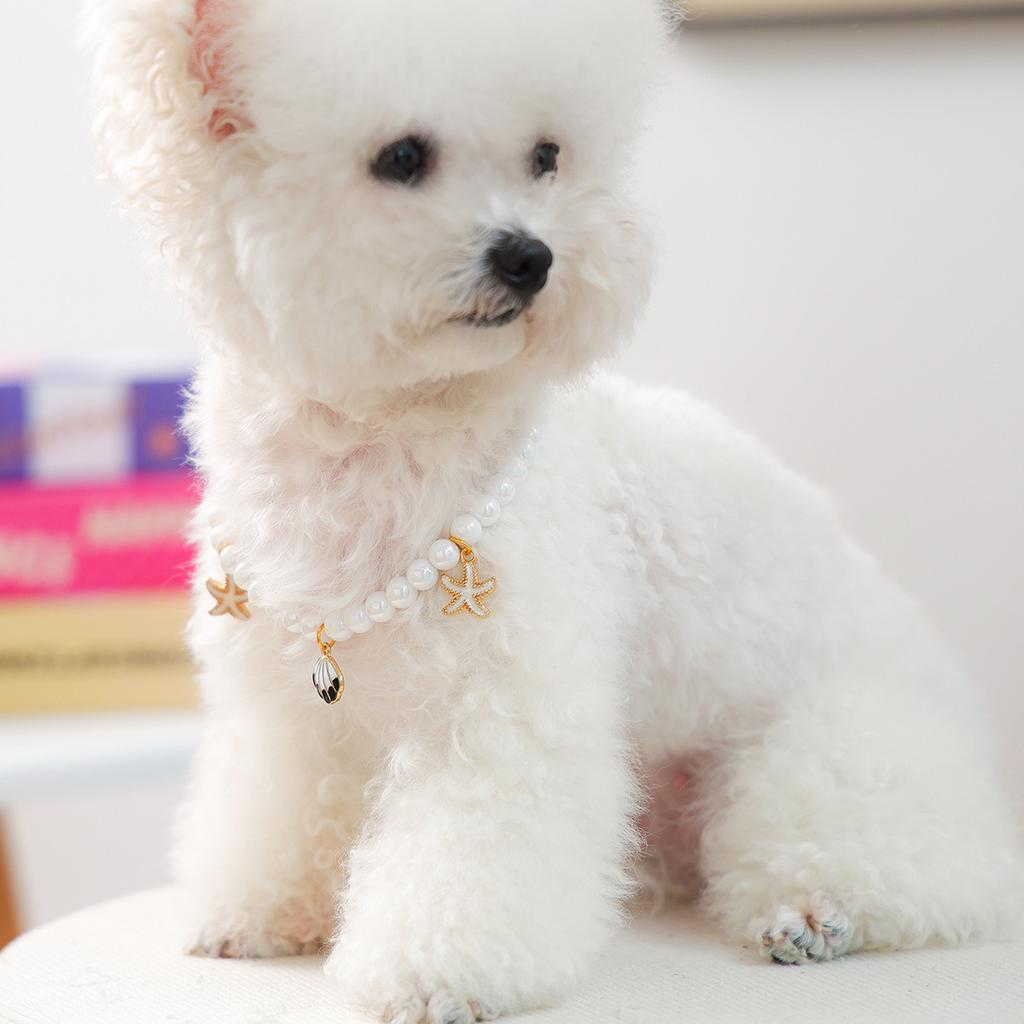 Pet pearl necklace shell starfish pendant cat collar puppy teddy neck cute ornament