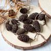 Rattan DIY Craft Kit: Cute Peapod Doll Pendant Material Pack