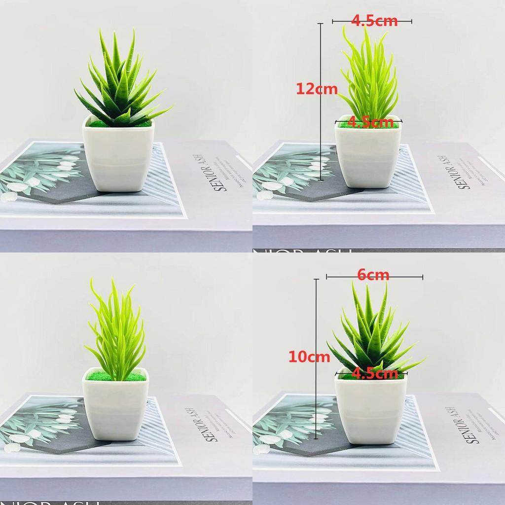 Simulierte Miniatur-Kaktussammlung mit Kunststoffmaterial für Schreibtischdeko und Geschenke