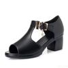 New Women's Roman Sandals versatile fish mouth shoes Casual Comfort Coarse Heel Shoes Trendy ladies high-heel sandal