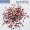 Valve Core Remover with 100 Pcs Car Truck Replacement TPMS Nickel Plated Tire Tyre Valve Stem Core Dual Single Head Valve Core Remover Tire Repair