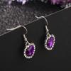 Ear Pendant Charming Temperament Fashion Jewelry Shiny Exquisite Eardrop for Daily Life