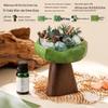 Wilderness Secret Scented Stone Diffuser Gift Set - Indoor Flameless Aroma Ornament for Holidays and Parties