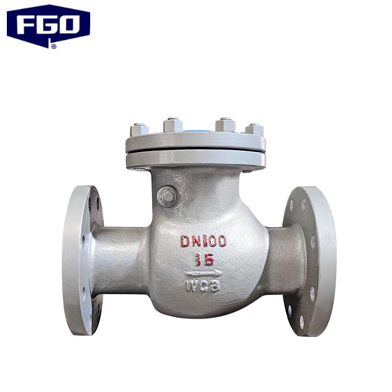 FGO Medium-Duty Swing Flange Check Valve
