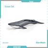 Marine Animal Model Set: Shark, Turtle, Dolphin, Whale, Penguin, Crab, and Seabed Creatures