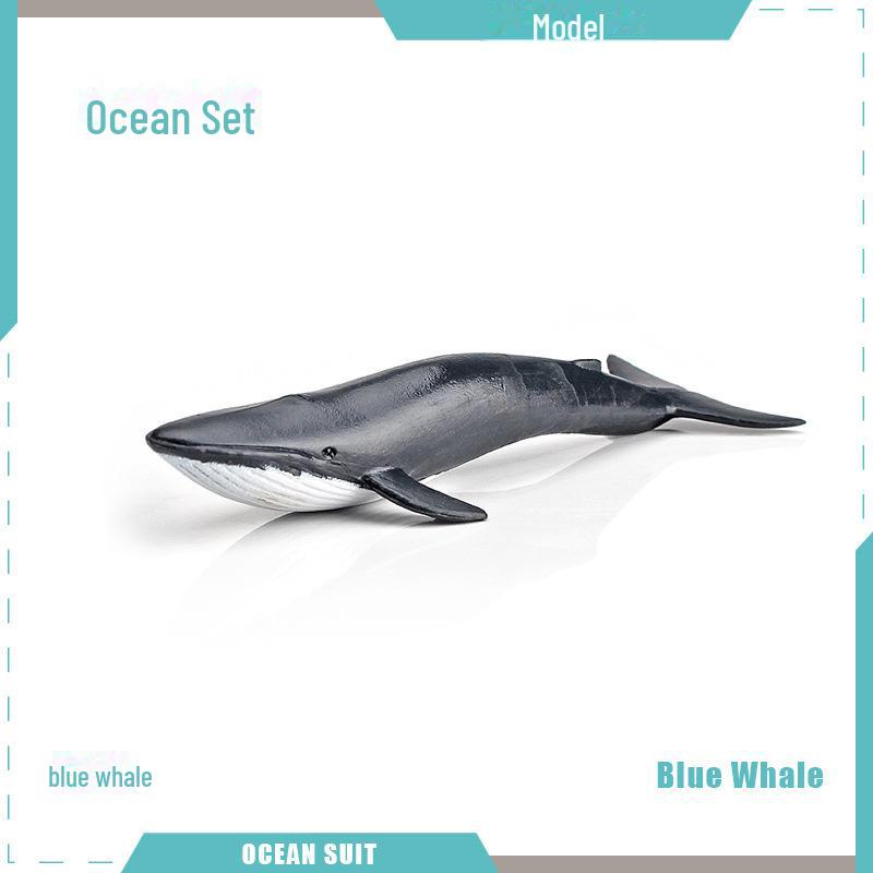 Marine Animal Model Set: Shark, Turtle, Dolphin, Whale, Penguin, Crab, and Seabed Creatures