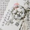 Butterfly Bracelet Set Xiaohongshu Same Cold Female Niche Design Sense Light Luxury Sweet Versatile Student Girlfriend