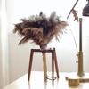 Feather Duster Wooden Handle Duster Anti-static Dust Removal for High Ceiling & Home Cleaning Gentle on Delicate Surface