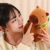 Capybara Plush Toys, Turtle Backpack Dolls, Cushions And Pillows As Gifts For Friends, Comfort And Companionship