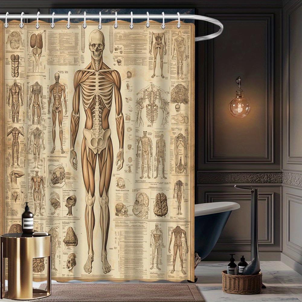Vintage Anatomische Studie Duschvorhang Menschlicher Körper Skelett Diagramm Wissenschaftlicher Druck Polyester Badezimmer Dekor Neuheit Heimkunst