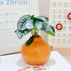 Kreative Orange-Form-Vase Hydroponischer Keramik-Kunststoff-Blumentopf Blumenarrangement Heimdekoration Schreibtisch-Ornament Gartendekoration