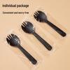 Miaojie Frosted Black Disposable Dessert Spoons, 100-Pack