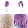 Project Sekai Colorful Stage Feat. Kamishiro Rui Cosplay Wig Carnival
