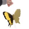 2m 3D Butterfly Paper Banner DIY Party Hanging Decoration  Wedding Birthday