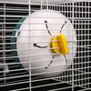 Plastic Pets Running Wheel Training Quiet Non-Slip Jogging Spinner Mini Exercise Animal Sports Accessories Presents