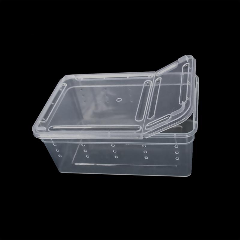 1 terrario para reptiles, arañas, caja de alimentación de plástico transparente, contenedor para cría de insectos, lagartos y escarabajos.