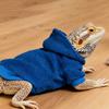 Skin Protection Lizards Clothes Handmade Reptiles Apparel Cute Bearded Dragon Hoodies  Four Seasons