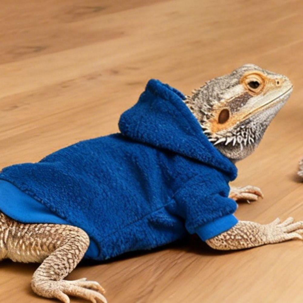 Skin Protection Lizards Clothes Handmade Reptiles Apparel Cute Bearded Dragon Hoodies  Four Seasons