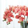 Lan Kwai Fong Luxurious Phalaenopsis Artificial Flowers for Living Room Decoration