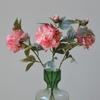 Silk Petals Peony Artificial Flower Multicolor Faux Flower Simulation Peony Flower  Home Decoration