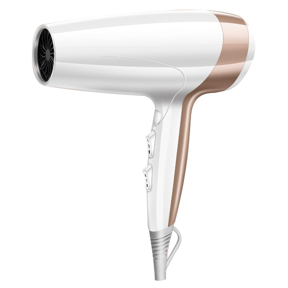 2000W High Power Hair Dryer Blue Light Care Negative Ion Quick Drying Hair Styling Tool,EU Plug