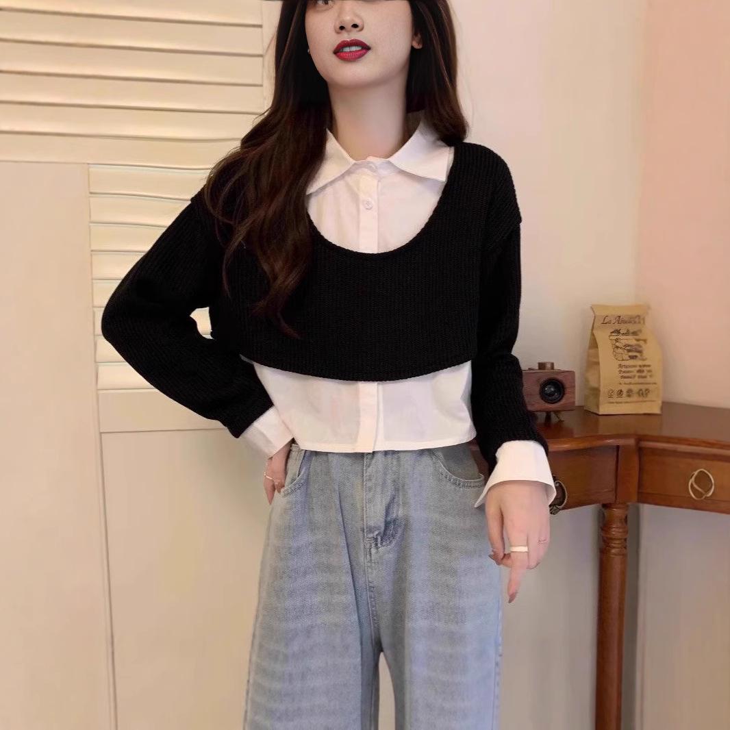 

Новый женский повседневный свитер с длинным рукавом - Коллекция Осень/Зима 2024 One Size чёрный