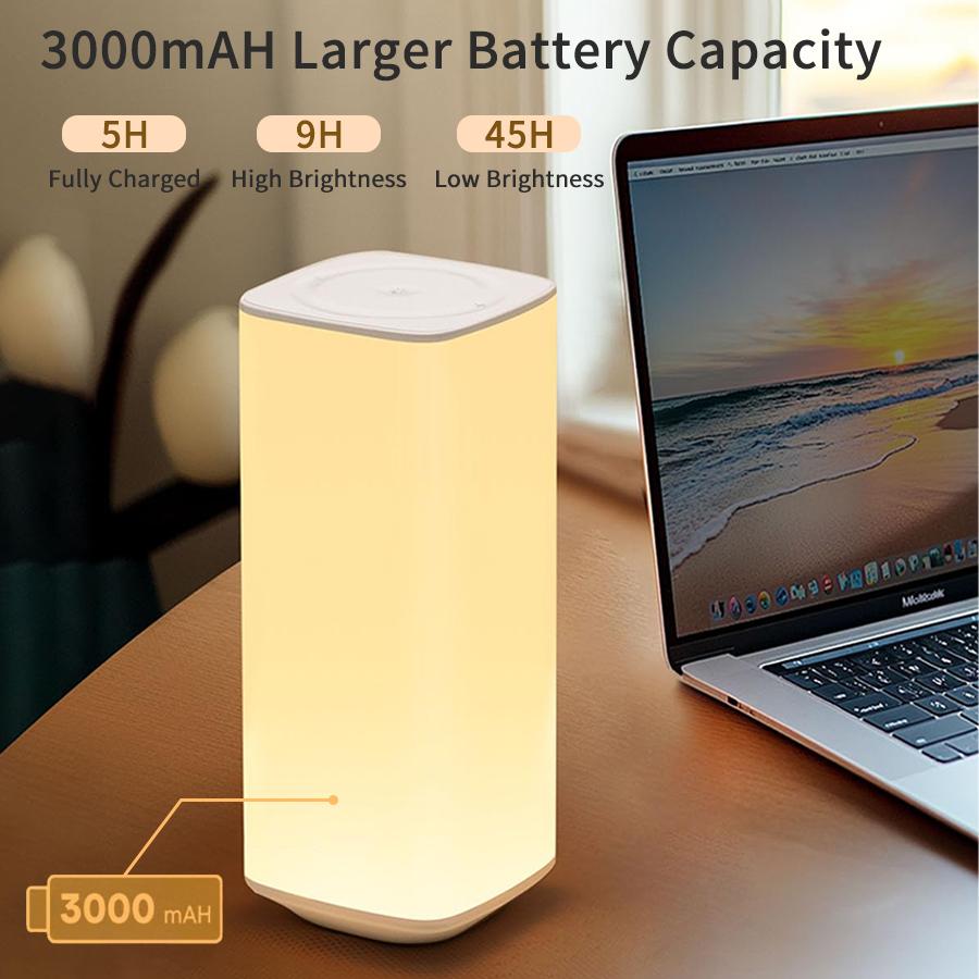 Rechargeable Touch Table Lamp RGB Dimmable Night Light with Remote Control Timed Bedside Lamp For Bedroom Living Room Lighting