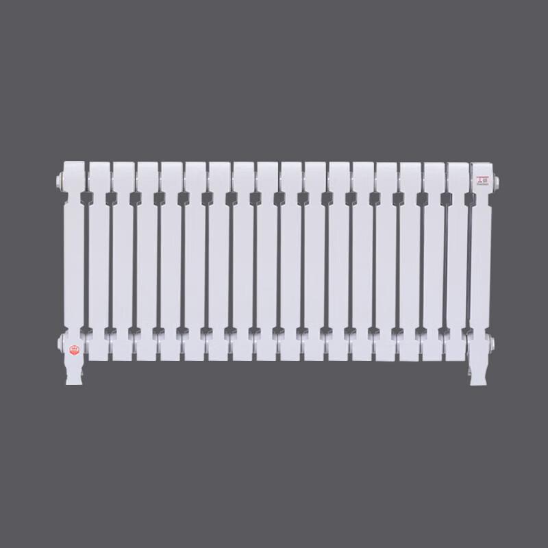 Lixing TZY2-6-8 Cast Iron Radiator