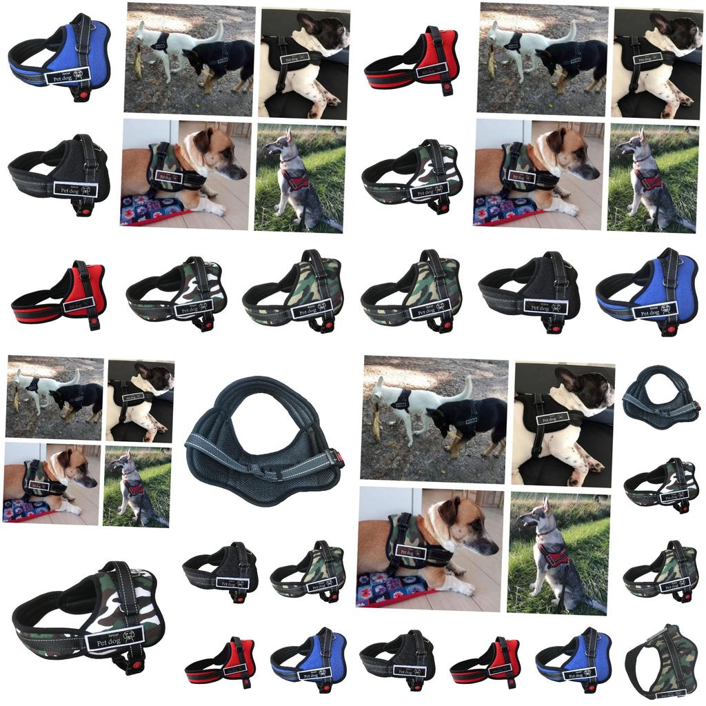 Premium Quality Pet Chest Harness And Leash For Medium To Large Dogs Adjustable Durable And Stylish