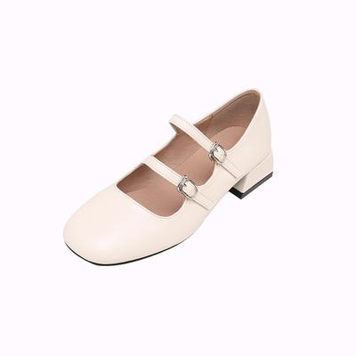 Damen Frühling Elegant Mittelhoher Dicker Absatz Quadratische Zehen Silberne Mary Jane Schuhe Feenhafter Stil Sanfte Einzelne Schuhe Große Größe