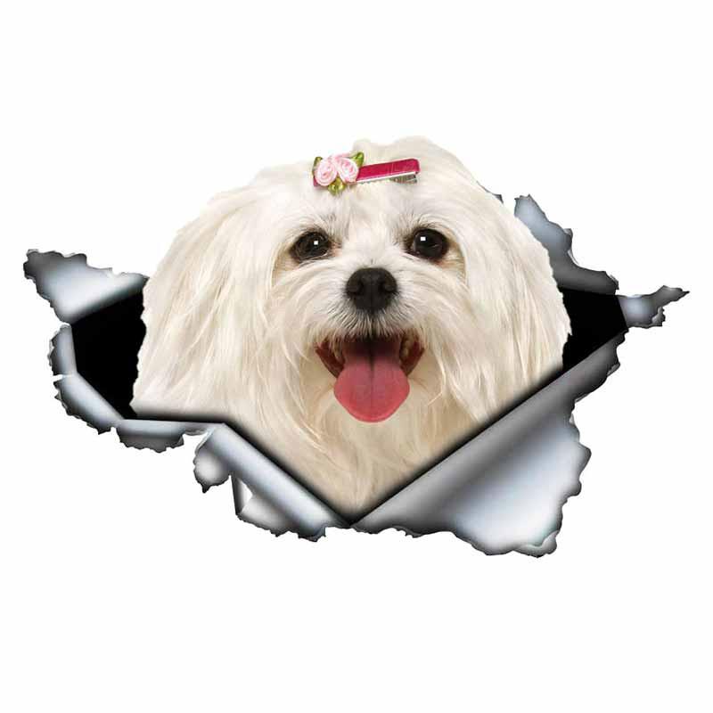 LYKX Lovely Maltese Pet Dog Car Sticker Decoration Waterproof Window Boot Decal Motorcycle Cover Scratch PVC Decals