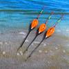 Winter & Ice Fishing Float for Rockfish and Crucian Carp - Jujube Pit Shape