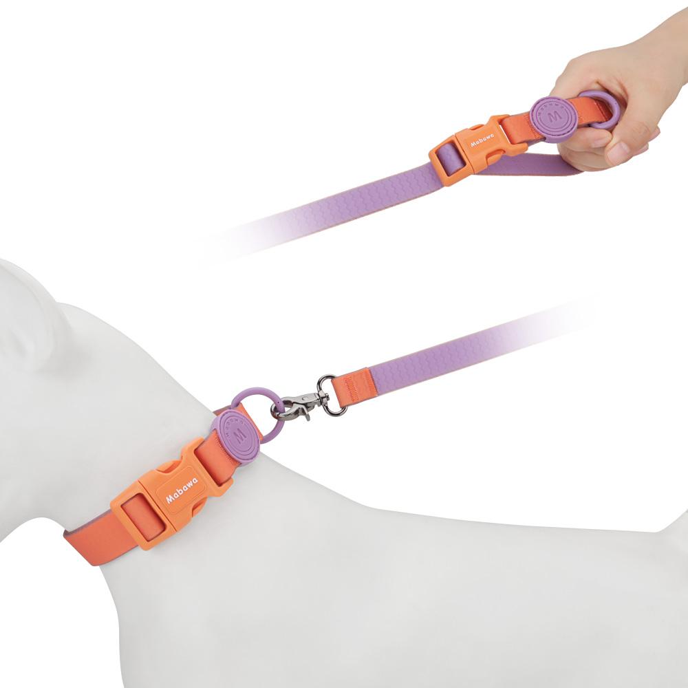 Set Collar Leashes Dog Cat Pet Collars For Puppy Small Medium Dogs Leash Rope