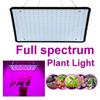 5000W Full Spectrum Indoor LED Grow Lamp For Plant Growing Light Tent Fitolampy Phyto UV IR Red Blue 256 Led Flower 295x295x30mm