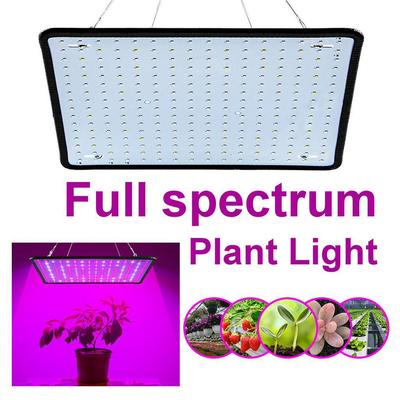 5000W Full Spectrum Indoor LED Grow Lamp For Plant Growing Light Tent Fitolampy Phyto UV IR Red Blue 256 Led Flower 295x295x30mm